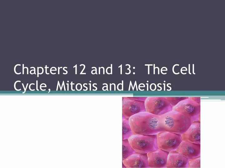 chapters 12 and 13 the cell cycle mitosis and meiosis