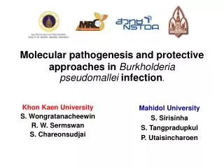 Molecular pathogenesis and protective approaches in Burkholderia pseudomallei infection .