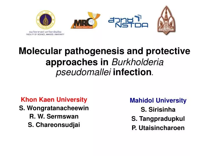 molecular pathogenesis and protective approaches in burkholderia pseudomallei infection
