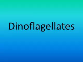 Dinoflagellates