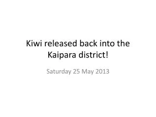 Kiwi released back into the Kaipara district!
