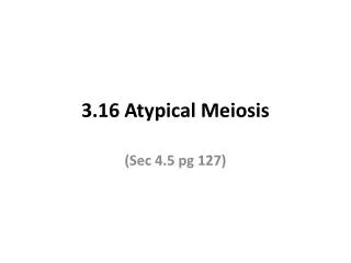 3.16 Atypical Meiosis