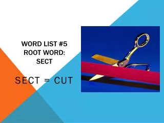 Word list #5 root word: sect