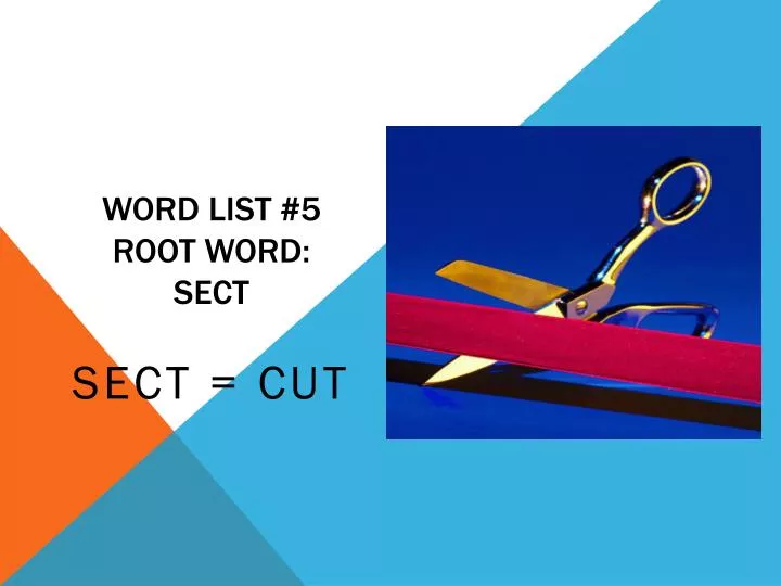 word list 5 root word sect