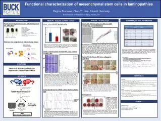 Functional characterization of mesenchymal stem cells in laminopathies