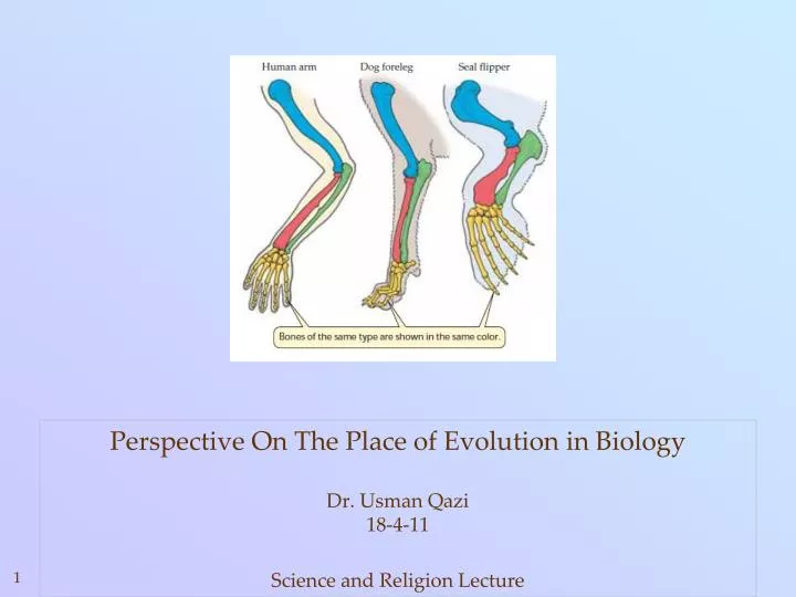 perspective on the place of evolution in biology dr usman qazi 18 4 11 science and religion lecture