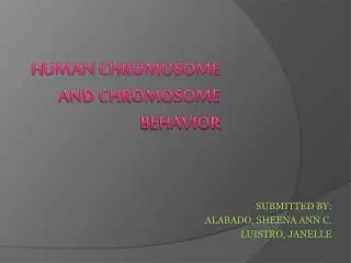 H uman chromosome and chromosome behavior