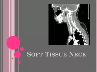 Soft Tissue Neck