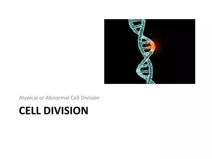 cell division