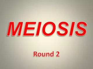 MEIOSIS Round 2