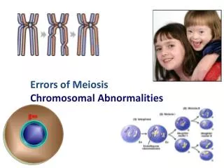 Errors of Meiosis Chromosomal Abnormalities