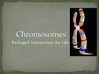 Chromosomes