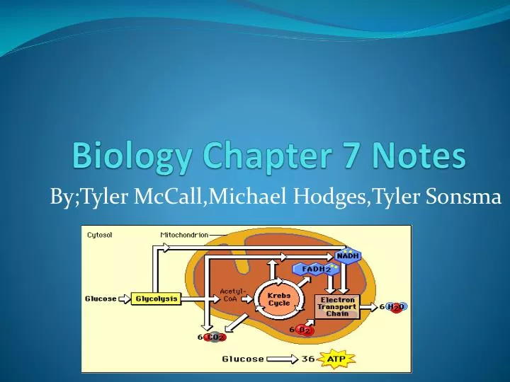 biology chapter 7 notes
