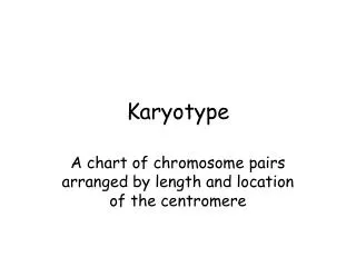 Karyotype