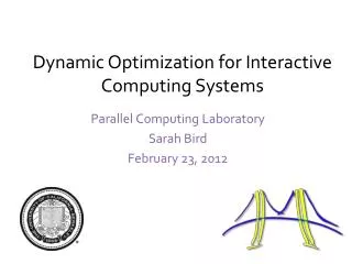 Dynamic Optimization for Interactive Computing Systems