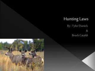 Hunting Laws