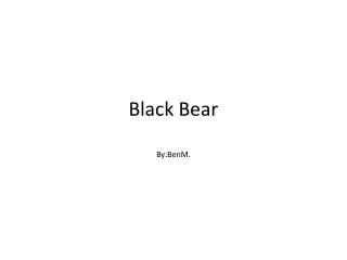 black bear