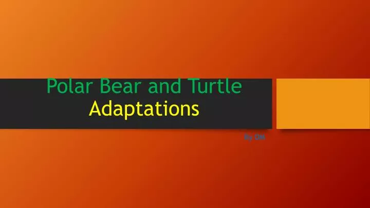 polar bear and turtle adaptations