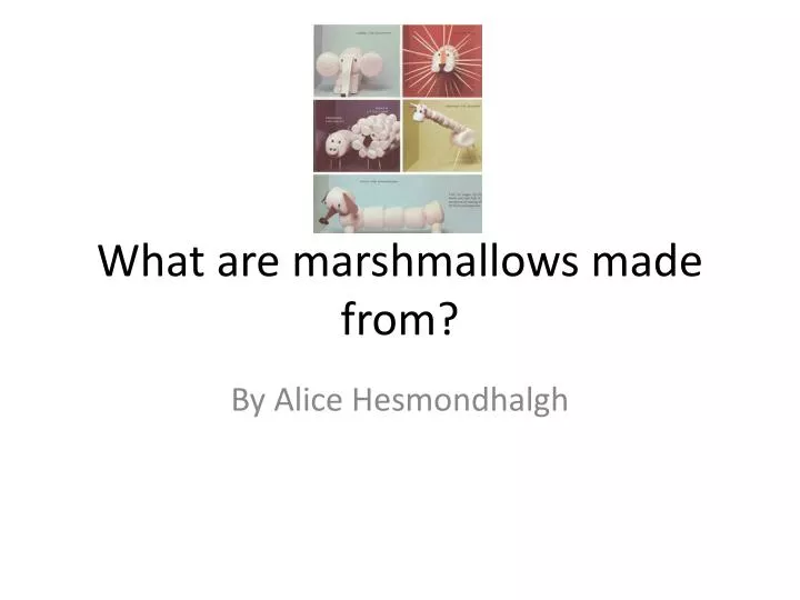 what are marshmallows made from