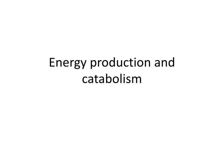 energy production and catabolism