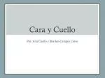 Cara y Cuello - slide 1