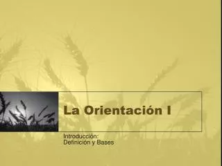 la orientaci n i