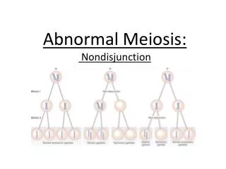 Abnormal Meiosis : Nondisjunction
