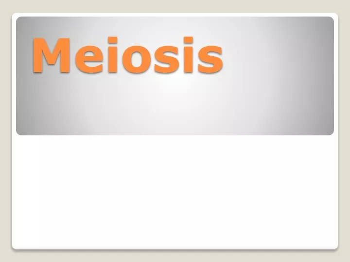 meiosis