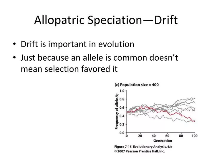allopatric speciation drift