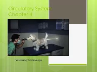 Circulatory System Chapter 4