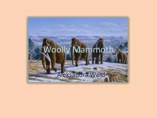 Woolly Mammoth