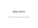 ORAL CAVITY - slide 1
