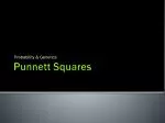 Punnett Squares - slide 1