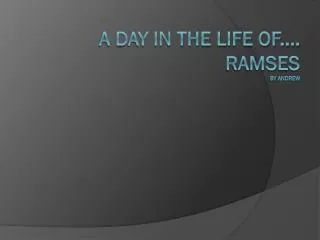 A Day In The Life Of.... Ramses By Andrew
