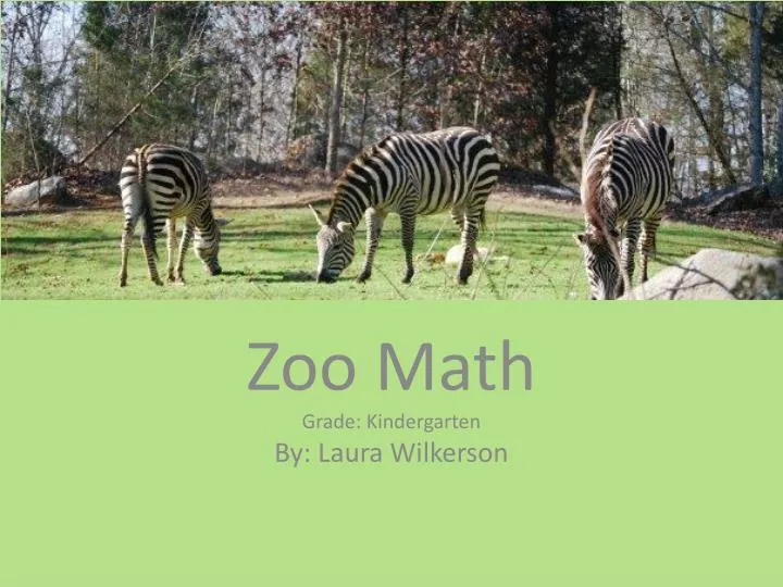zoo math grade kindergarten by laura wilkerson