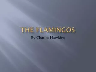 The Flamingos