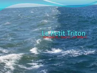 le petit triton
