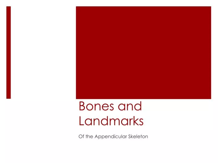 bones and landmarks