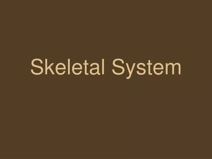 skeletal system