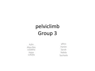 pelviclimb Group 3