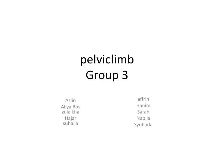 pelviclimb group 3
