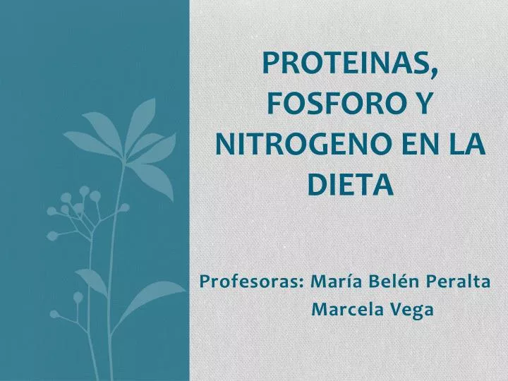 proteinas fosforo y nitrogeno en la dieta