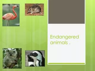 Endangered animals .