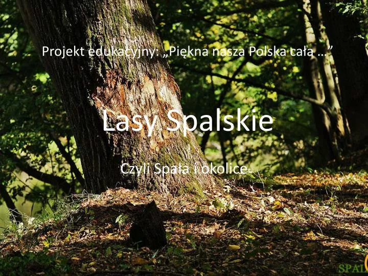 projekt edukacyjny pi kna nasza polska ca a lasy spalskie