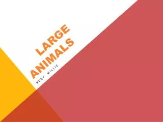 Large Animals