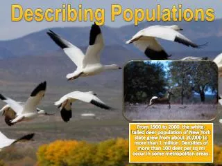 describing populations