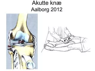 akutte kn aalborg 2012