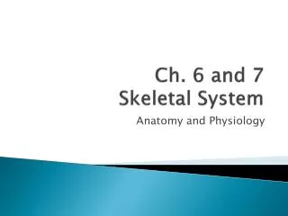 Ch. 6 and 7 Skeletal System