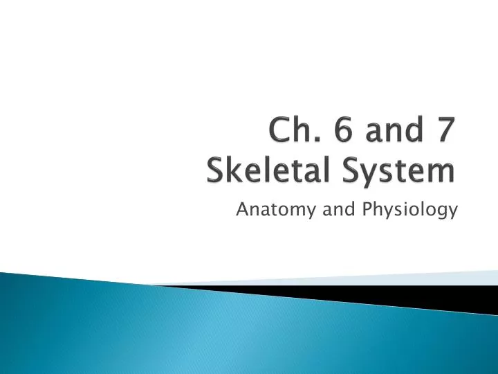 ch 6 and 7 skeletal system