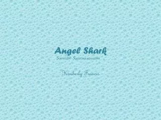 Angel Shark